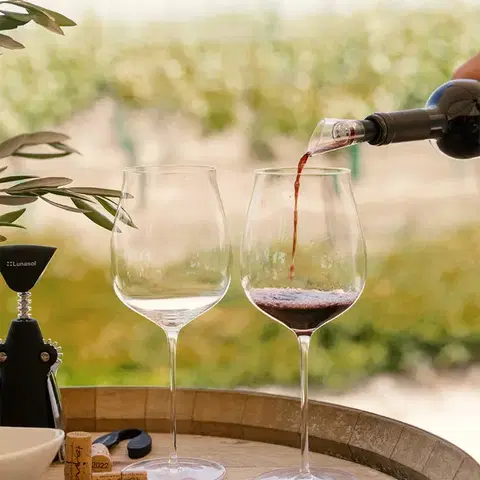Cabernet / Alibernet poharak 850 ml-es 2 db-os készlet — FLOW Glas Platinum Line - 322912