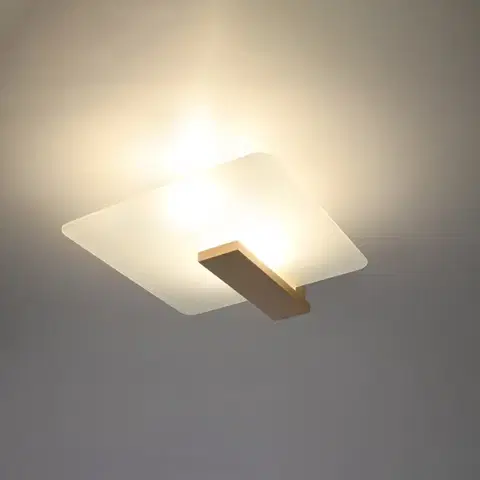 Lappo természetes fa mennyezeti lámpa