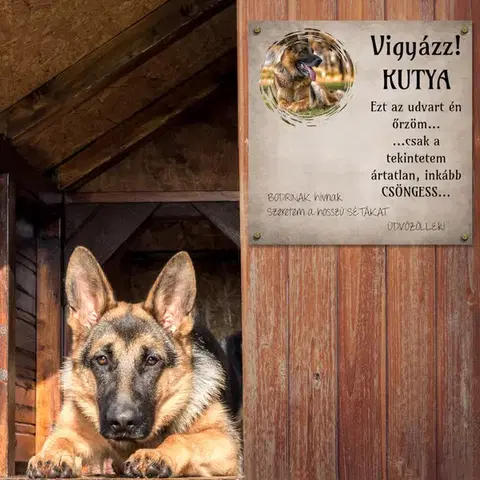 Fali dekoráció - Névre szóló kutyatábla kutyáknak