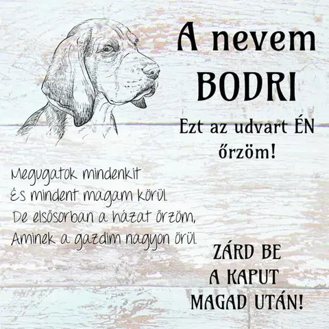 Fali dekoráció - Egyedi tábla házi kedvenceknek