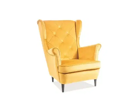 Lady Velvet fotel wenge/curry sárga bársony (Bluvel 68)