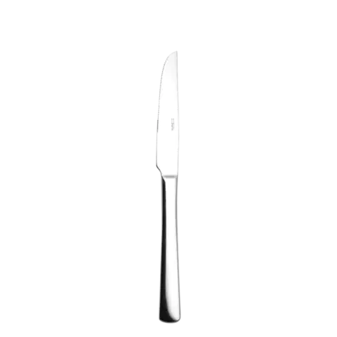 Steak kés 22,2cm Atlantic 2000 - 100156