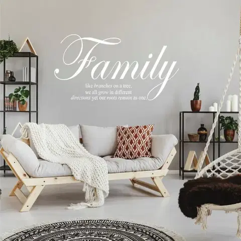 Falmatrica - Family