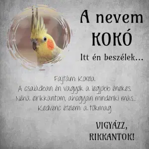 Fali dekoráció - Ajándéktábla madárkáknak