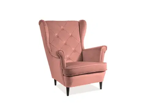 Lady Velvet fotel wenge/antik rózsaszín bársony (Bluvel 52)