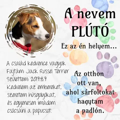 Fali dekoráció - Tábla házi kedvenceknek