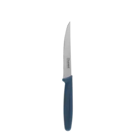 Recézett élű steak kés 11,2 cm — Master Petrol - 105637